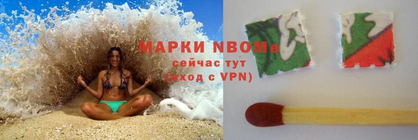 прущие грибы Липки