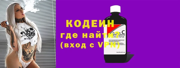 индика Бердск