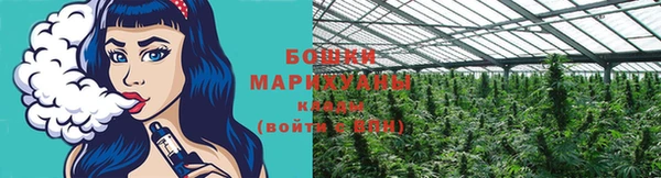 ПСИЛОЦИБИНОВЫЕ ГРИБЫ Лиски