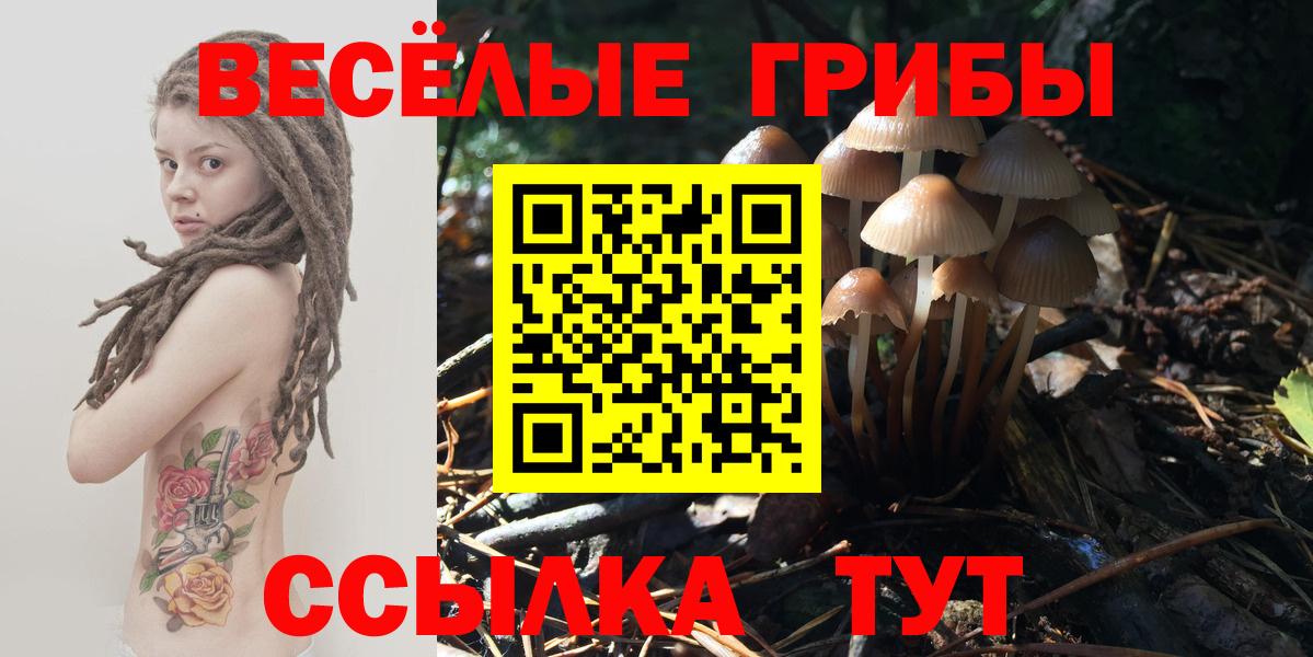 Псилоцибиновые грибы GOLDEN TEACHER  купить  цена  Учалы 