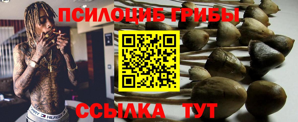Учалы  Галлюциногенные грибы ЛСД  Псилоцибиновые грибы мухоморы  Вход с VPN 